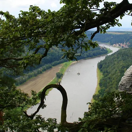 Chicke In * Struppen